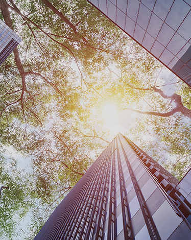 2024可持續(xù)發(fā)展報告